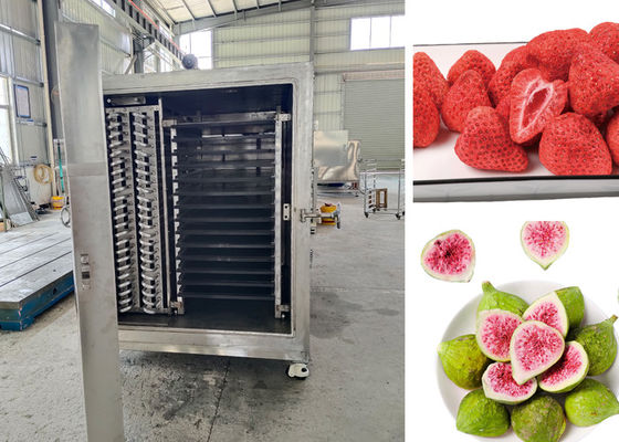 Contrôle à distance par PLC Sécheuse à froid sous vide alimentaire pour le processus de séchage