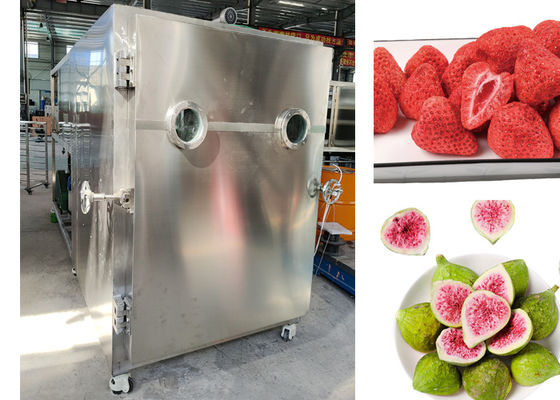 SUS 304 Cuisine pour animaux de compagnie Séchoir à vide congélateur de viande Fruit lyophilisateur