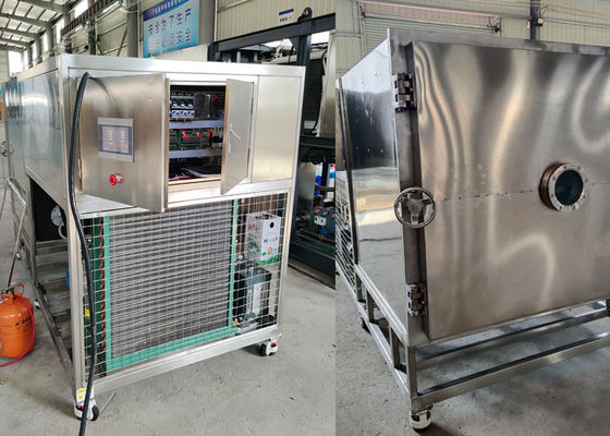 Machine de congélation sous vide pour aliments de grande capacité de 300 kg