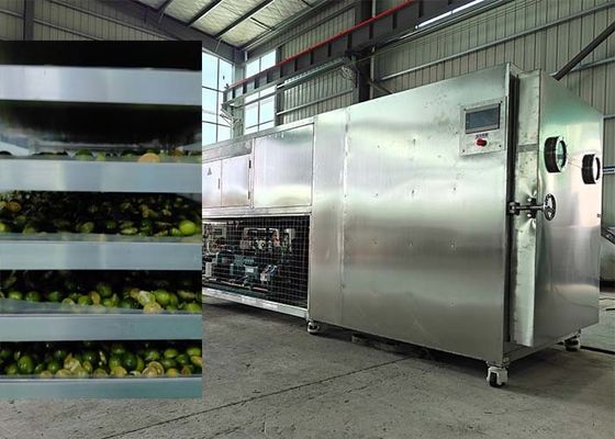Système de réfrigération Bitzer / Leybold Pour les fruits