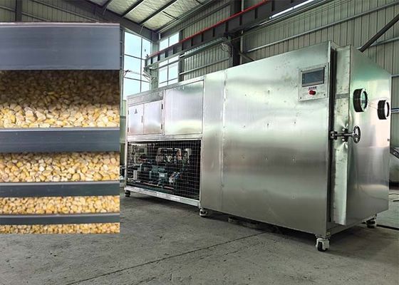 Appareils de séchage de fruits et légumes