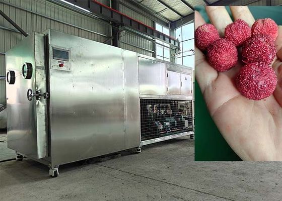 Machine de séchage par congélation sous vide contrôlée par PLC 30-35 kg/ lot