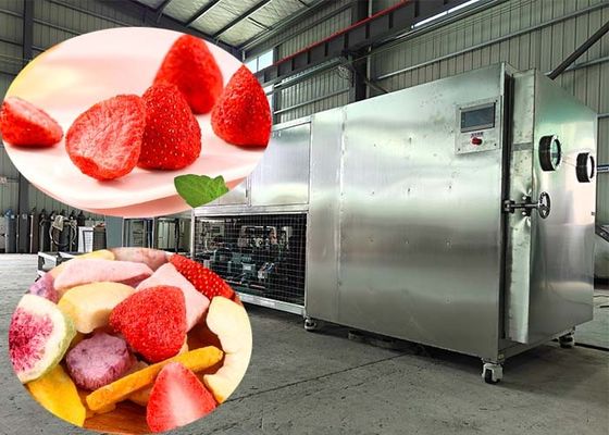 100 kg/ lot Machine lyophilisante à séchage par congélation avec contrôle PLC