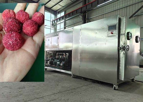 Machine de lyophilisation de nourriture intelligente de 200 kg