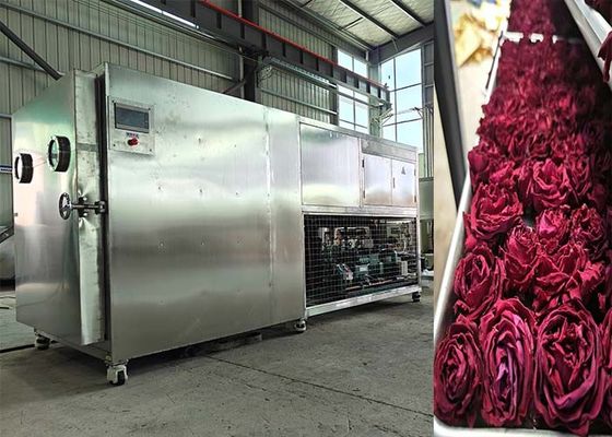 200 kg 500 kg Machine lyophilisatrice à séchage par congélation de grande capacité