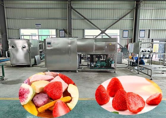 100 kg par lot Machine de séchage industriel par congélation avec 60 dB