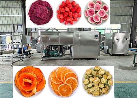 Machine lyophilisante à vide 10 Pa sèche-glace avec contrôle PLC