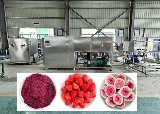 38 kW électrique chauffage dégivrage lyophilisateur sèche-glace machine