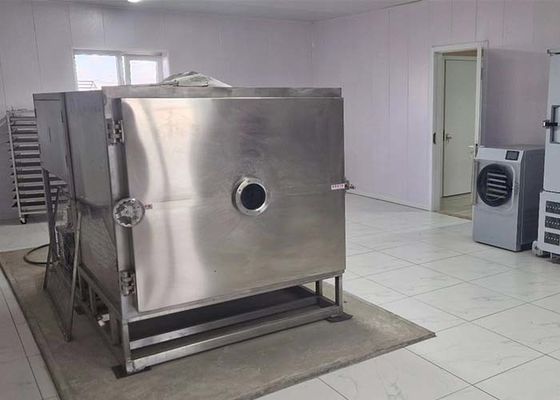 300 kg/ lot Sécheuse sous vide et congélateur alimentaire Solution ultime Haute performance de séchage