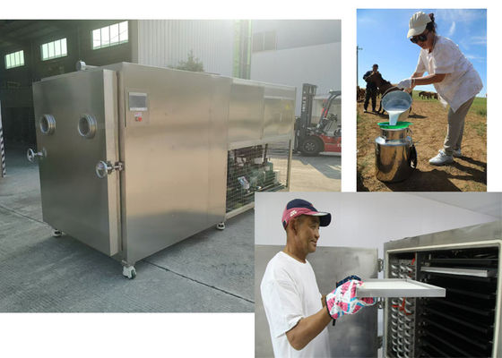Capacité de 100 kg par lot Séchoir à vide pour aliments et légumes