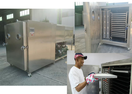 Machine de séchage par congélation de légumes industriels