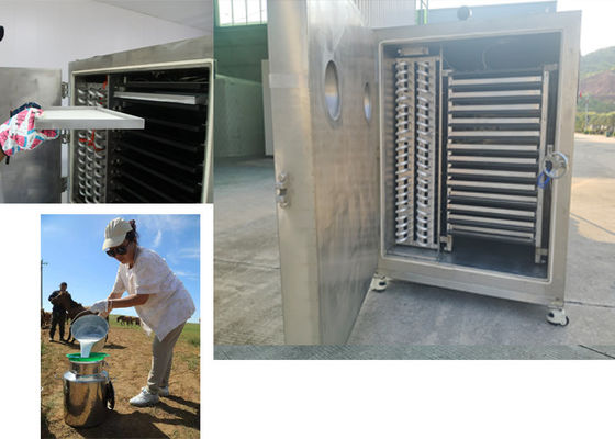 Séchoir à gel pour légumes industriels avec système de commande PLC