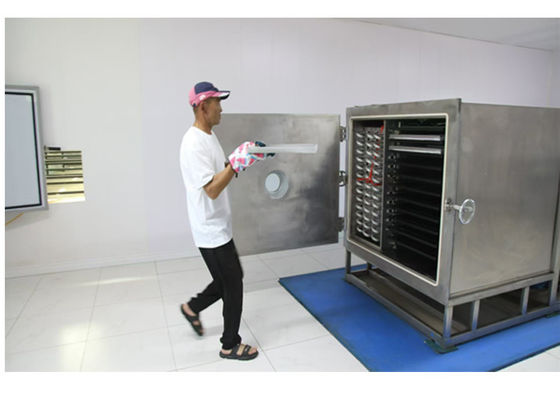 Mode de fonctionnement automatique 100 kg sèche-glace de légumes pour un séchage rapide