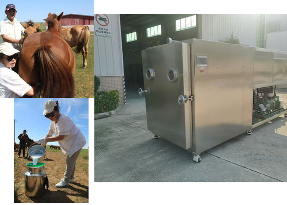Machine de séchage par congélation de légumes industriels de 100 kg 10 kW/h