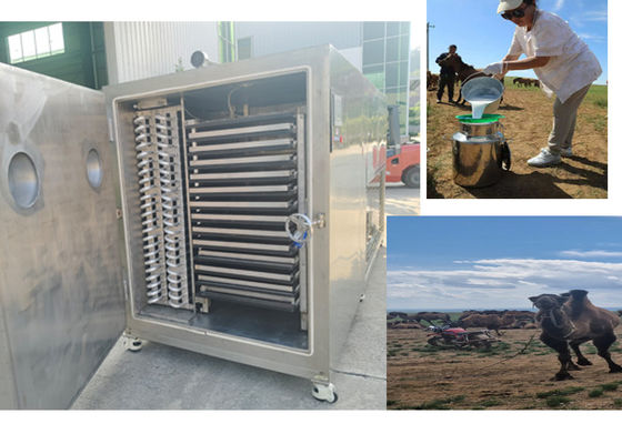 Machine de congélation de fruits secs de conception compacte avec système de réfrigération