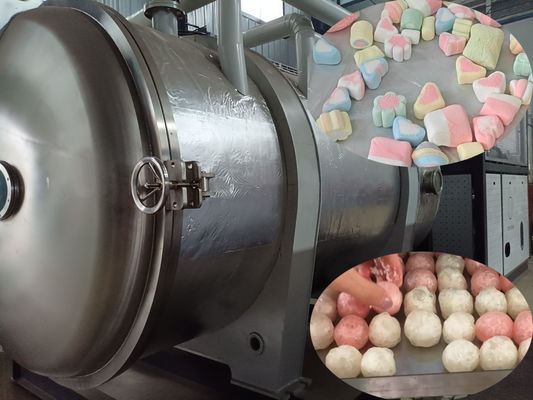 500 kg séchoir-congélateur alimentaire industriel Lyophilisateur à grande échelle pour la transformation alimentaire