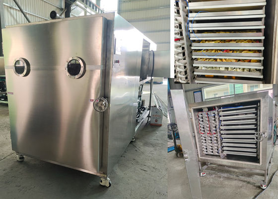 Machine de séchage sous vide à congélation commerciale de 100 kg 200 kg