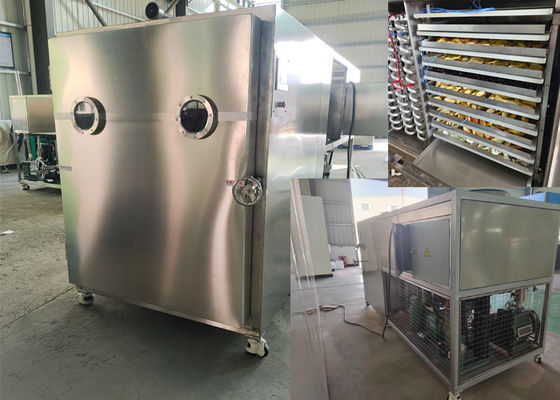 Séchoir à gel sous vide industriel à grande échelle pour le séchage à gel de précision