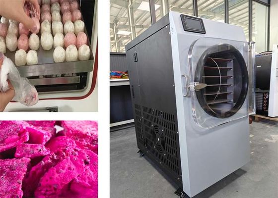 2 kW machine de congélation et de séchage à domicile en acier inoxydable pour la conservation des aliments
