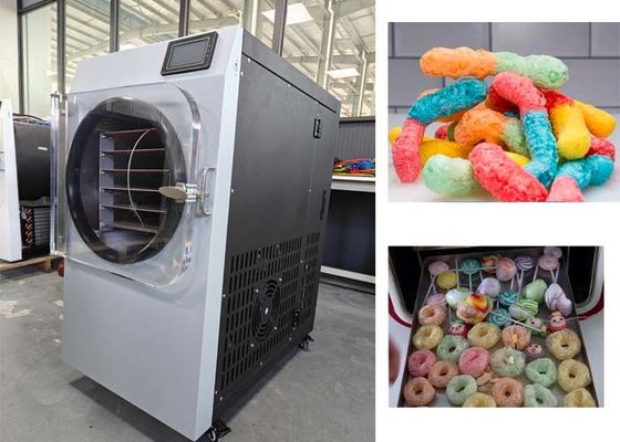 Machine de séchage par congélation pour chocolat et crème glacée