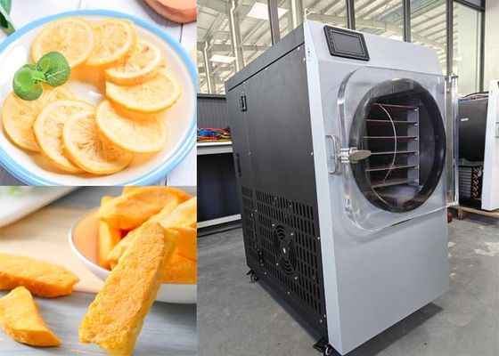 Chauffage électrique 304 en acier inoxydable séchoir-congélateur alimentaire pour usage domestique