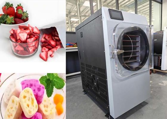 220V 20-25kg Capacité machine à sécher par congélation pour la maison