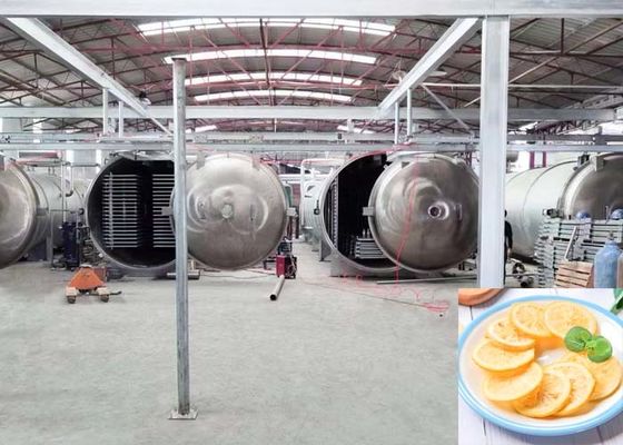 Capacité de 1000 kg séchoir à gel automatique industriel pour les applications alimentaires