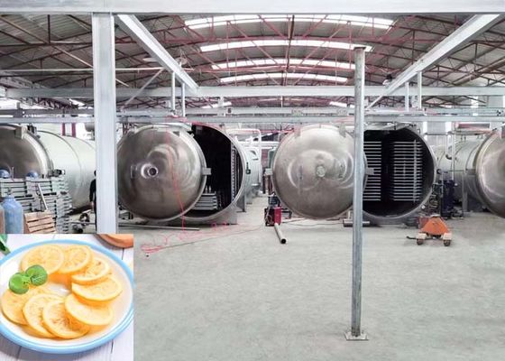 Grand séchoir industriel par congélation Capacité 1000 kg/ lot
