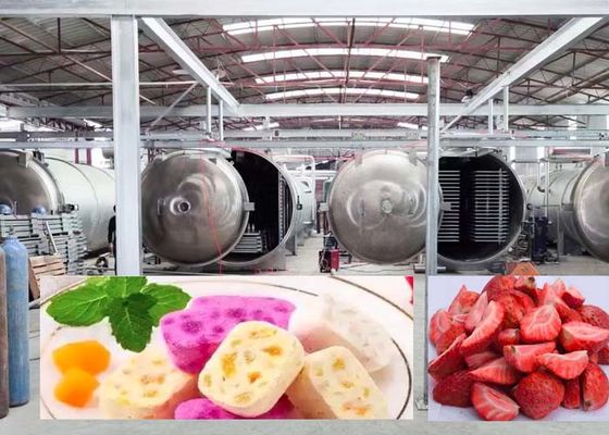 1000 kg grand séchoir à gel pour des résultats de séchage rapides 20-24H précis