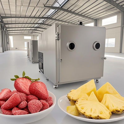 Appareils de séchage industriels pour les aliments sous vide, congélateur et lyophilisateur