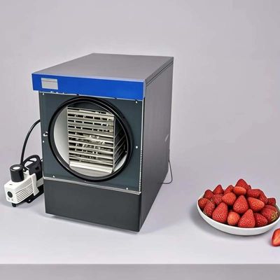 Machine de séchage par congélation pour fruits légumes viande lait lyophilisé usage domestique