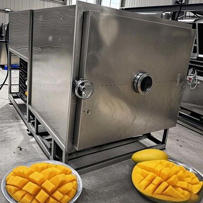 FreezeDryTech Pro Mango Lyophilisateur de stockage alimentaire pour légumes et fruits