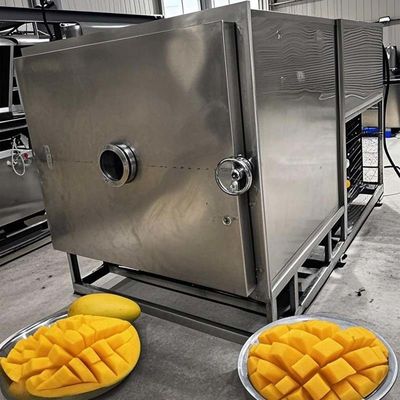 Machine de lyophilisateur commercial de fruits et légumes à séchage par congélation