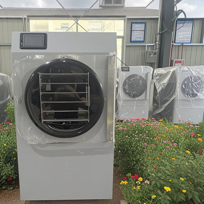 Technologie compacte avancée 20 kg Petit congélateur pour la maison Sécheuse de fraîcheur Énergie économe Mini Usage quotidien