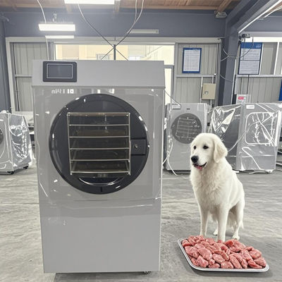 Séchoir à froid à domicile de 6 à 8 kg en acier inoxydable SUS304 avec système de contrôle PLC