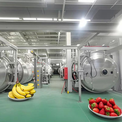 Lyophilisateur lourd 500 kg séchoir industriel pour fruits / légumes / café / fruits de mer