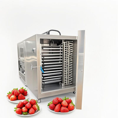 100 kg GMP machine de séchage par congélation Lyophilisation pharmaceutique de qualité alimentaire