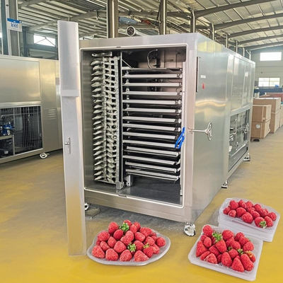 200 kg séchoir-congélateur automatique pour la déshydratation des viandes et des fruits