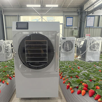 20 kg de petit congélateur commercial contrôlé automatiquement pour la déshydratation du café / des herbes