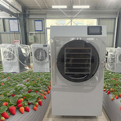 Lyophilisateur pilote de 6 kg pour la R&D et la petite production avec écran tactile PLC