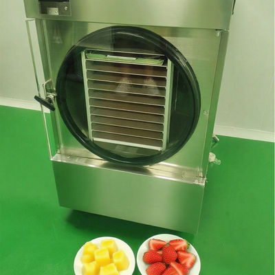 Lyophilisateur commercial avec acier inoxydable 304 et pompe Bosch - Lyophilisateur à haute efficacité