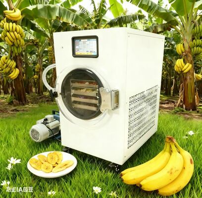 Des collations saines faciles, des fruits séchés par congélation, du yogourt et plus avec droit de récolte, pas d'additifs, tout est sous contrôle