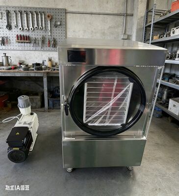 Préparez des collations saines que les enfants adorent ! | Lyophilisateur domestique compact parfait pour sécher les fruits, les légumes et les repas sans conservateurs artificiels ajoutés