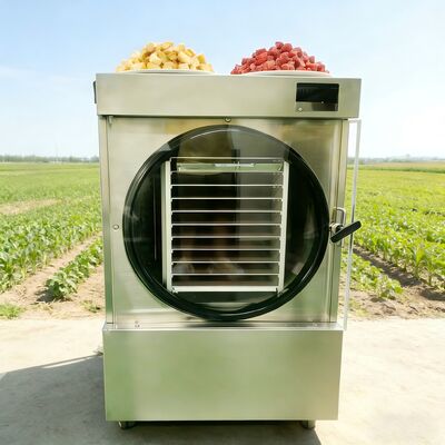 215 kg séchoir-congélateur à domicile avec cycle de congélation-séchage de 24 à 30 heures Système intelligent et télécommande pour le fonctionnement
