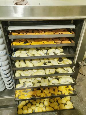 Unité de réfrigération BITZER Lyophilisateur Puissance nominale 200KW Équipement de lyophilisation pour l'industrie pharmaceutique, alimentaire et chimique