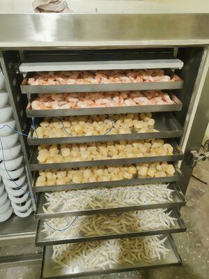 Lyophilisateur industriel automatique avec une capacité de lot de 1000 kg, idéal pour la conservation de produits pharmaceutiques, alimentaires et chimiques