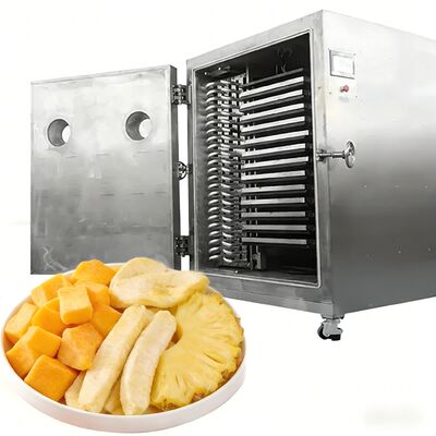 100 kg 200 kg Lyophilisateur de grande capacité