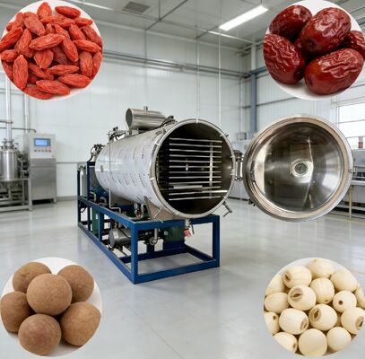 Système de commande PLC Machine de congélation sous vide offrant chambre Taille 12700 2600 3300mm parfait pour les industries pharmaceutique alimentaire et chimique