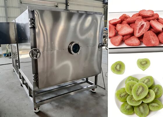 Dégradation de vide ≤ 10 Pa Sécheuse à gel sous vide alimentaire équipée d'une pompe à vide Baosi ou  fournissant un séchage sous gel pour l'industrie alimentaire