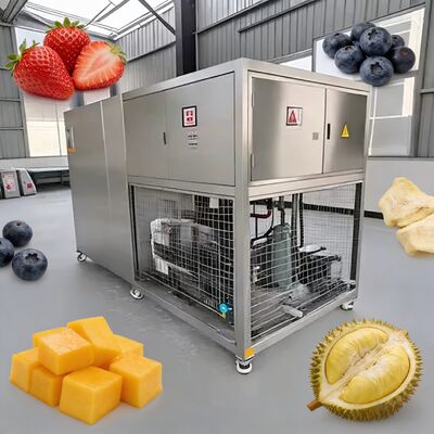 Système de réfrigération  ou Leybold Séchoir à vide pour la congélation des aliments Equipement refroidi par air pour la congélation des aliments Séchage et stockage